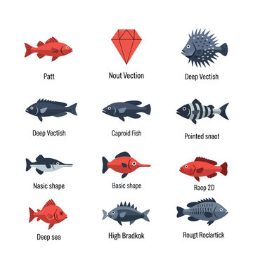 Isolated Caproid Boarfish Seafood Ingredient for Culinary Preparations