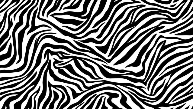 Seamless black and white zebra stripe pattern for abstract background design and animal print fashion textures