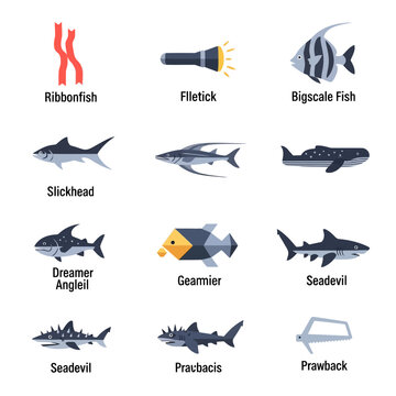 Hadal Zone Ichthyology Array: Deep Sea Fish Research and Scientific Visualization