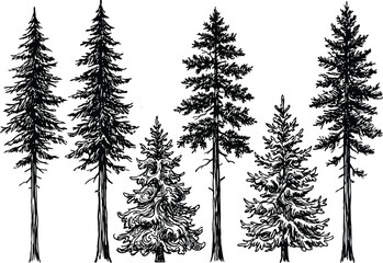 set of trees silhouettes © ATIK Nur 