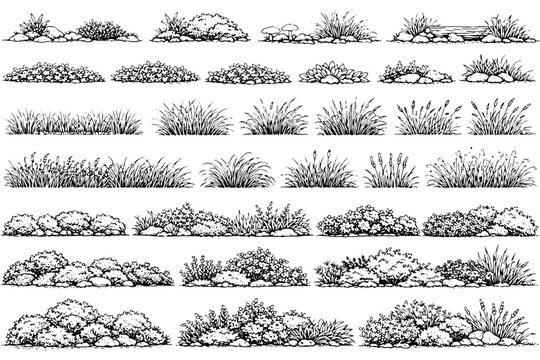 Botanical Ground Cover CAD Drawings Collection