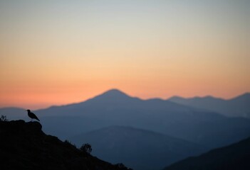 Fototapeta premium Silhouette of a bird with sunset over mountain range