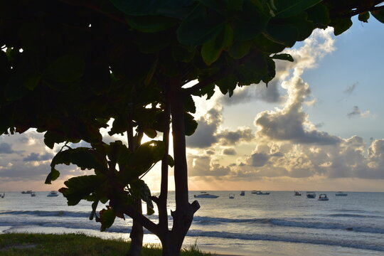 maragogi - alagoas