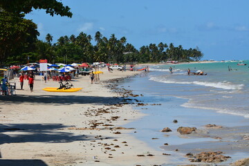 Fototapeta premium maragogi - alagoas