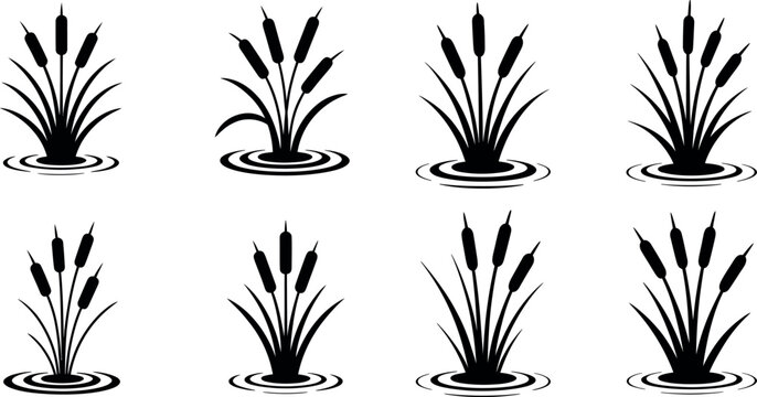 Set of vector silhouettes of reeds growing in water with marsh plant aquatic vegetation swamp plant river plant lake plant pond plant line art
