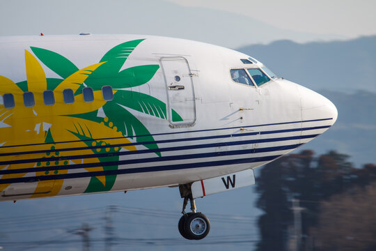 MASHIKI, KUMAMOTO JAPAN - 2011 FEBRUARY 21: A Skynet Asia Airways (Solaseed Air) Boeing 737-400