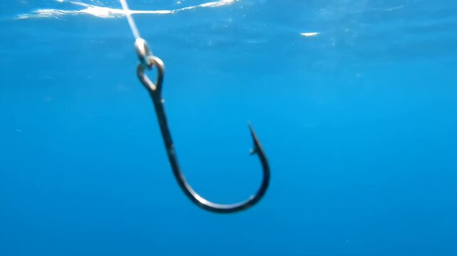 Fishing Hook Underwater - A close up shot of a metal fishing hook suspended underwater. The hook is attached to a clear string and set against a clear blue sea or ocean background.