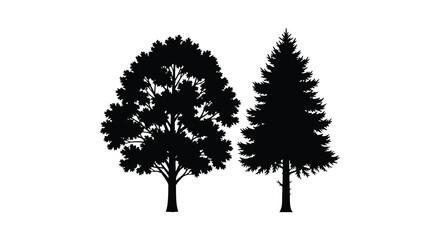 Deciduous and coniferous tree silhouettes against a white background silhouette © Gahima
