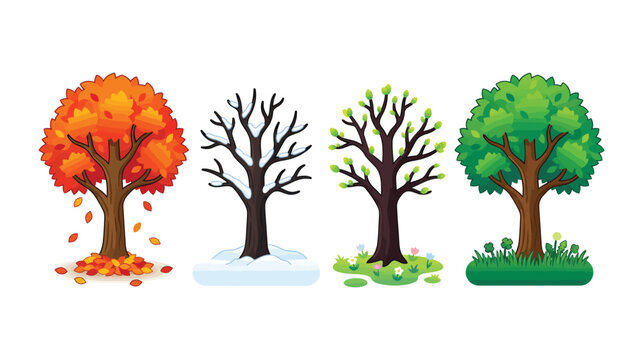 Four Seasons Trees, seasonal nature cycle, changing weather, vibrant vector illustration set