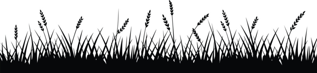 Black silhouette of grass and wheat stalks  © MDRAJU