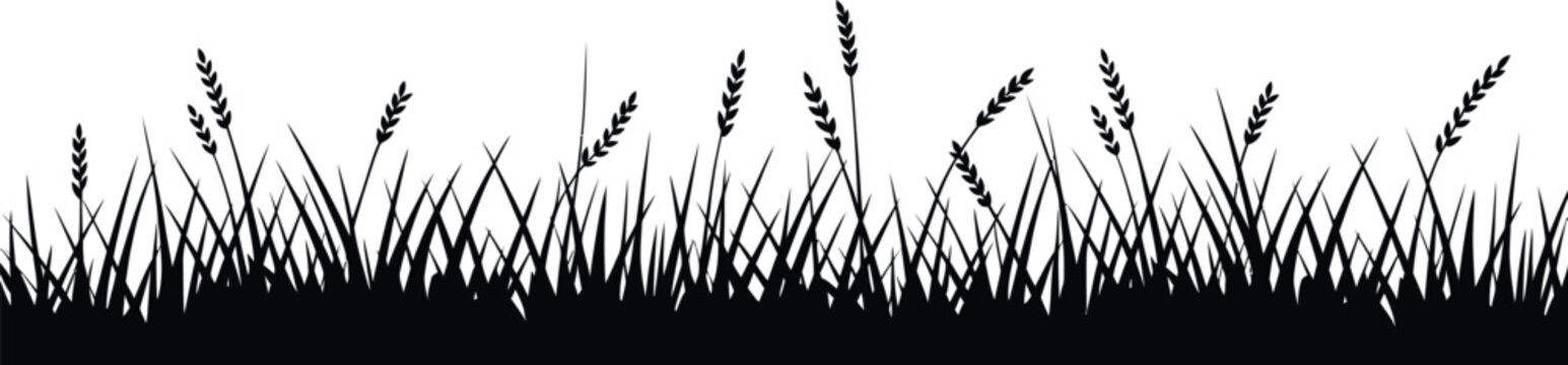Black silhouette of grass and wheat stalks 