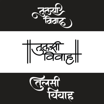 Marathi hindi calligraphy of tulsi vivah, indian festival of tulsi vivah celebration, pooja greetings
