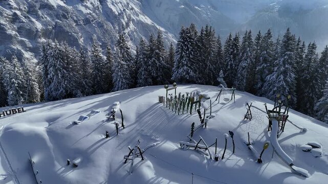 Aerial view of fresh snow on an alpine slope with trees and dramatic mountain valley in the Bernese Oberland, Switzerland.