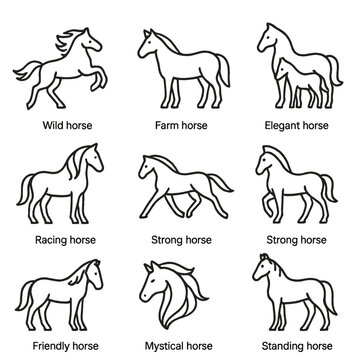 Various horse icons depicting wild and farm horses in diverse poses