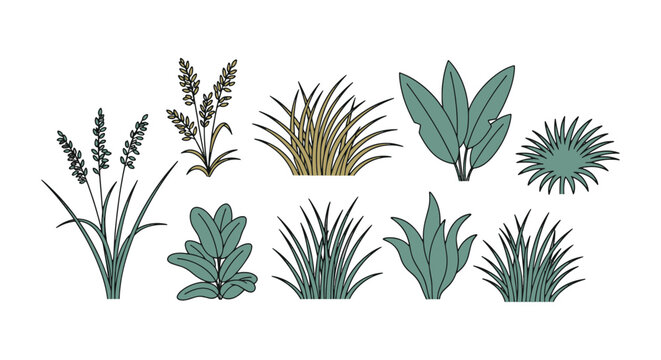 Beach plants illustration modern abstract color design vector.eps