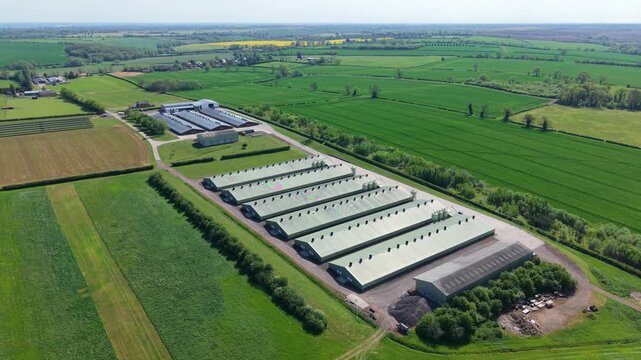 High angle aerial drone view of symmetrical agricultural livestock barns and chicken coops in the UK countryside