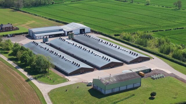 High angle aerial drone view of symmetrical agricultural livestock barns and chicken coops in the UK countryside