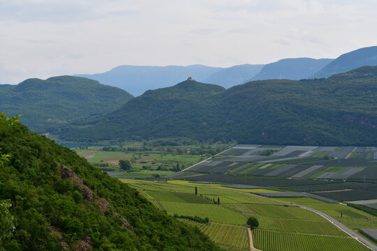 Sch&ouml;ne Landschaft bei Tramin in S&uuml;dtirol