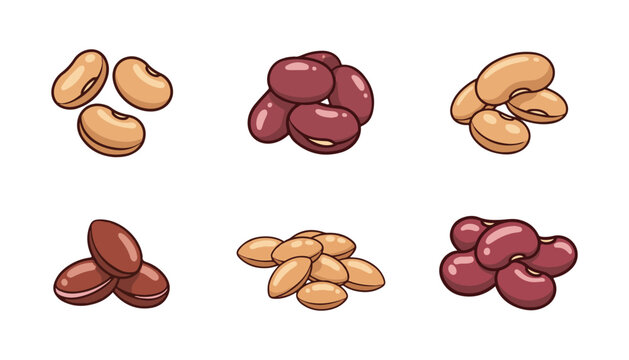 Collection of beans. Colorful beans, soybeans, green peas, lentils, corn seeds, and chickpeas. Vector cartoon flat illustration.