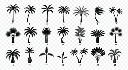 Fototapeta premium Collection of black palm tree silhouettes featuring various tropical plant species for summer travel and beach holiday graphic design projects