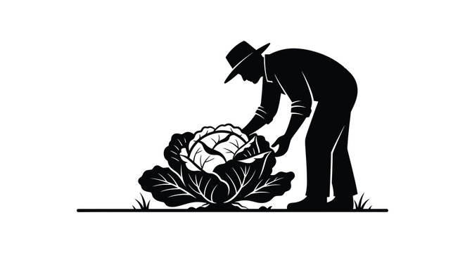 farmer tending to cabbage patch in a field black and white silhouette high quality professional detailed modern elegant stylish clean crisp