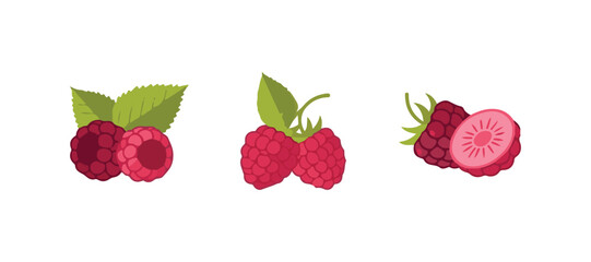 Fototapeta premium raspberry with the leaves attached 