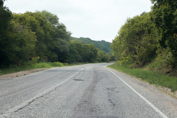 Fototapeta premium Empty asphalt road curving through a lush green summer forest