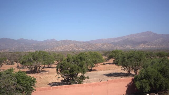 Wide panning shot of a dry Argan tree orchard and distant mountains in Souss-Massa, Agadir, Morocco. Ideal establishing B-roll for travel, agriculture, and argan oil production documentaries.