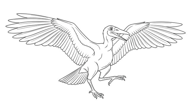 Detailed line drawing of an Archaeopteryx prehistoric bird with its wings spread wide and mouth open in an ancient flying pose.