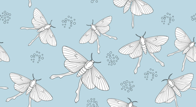 Delicate seamless pattern featuring hand drawn moth illustrations in black and white on a soft light blue background color.