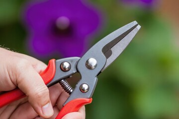 Obraz premium Close up on human hand holding garden pruning shears, sharp metal blades ready for trimming. Tool for gardening, plant care, and cultivation against blurred floral background.