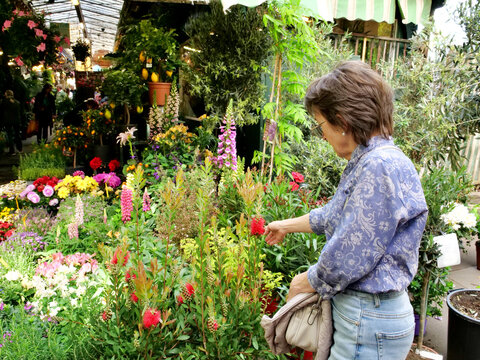 A woman in a blue patterned shirt examines a vibrant selection of plants at the March&eacute; aux Fleurs Reine Elizabeth II in Paris. The display includes red Bottlebrush (Callistemon), purple Foxgloves (Dig