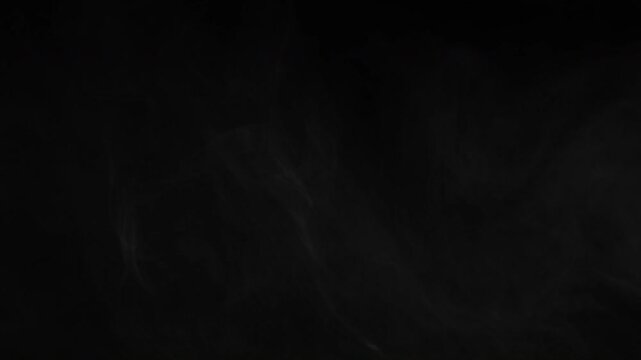 Solid Black Screen with Subtle Digital Noise Animation.