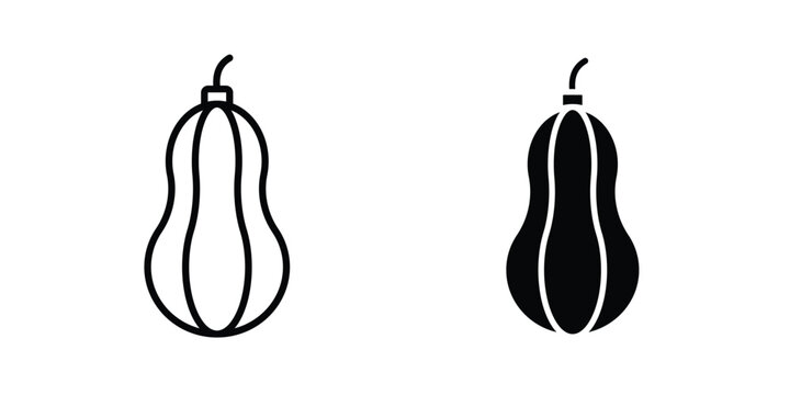 Butternut squash icon concept editable stroke outline. flat vector illustration.