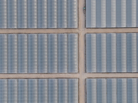 Aerial view of large agricultural greenhouses with plastic coverings and dirt paths in a geometric layout in Paestum, Campania, Italy.