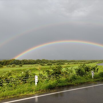 double rainbow