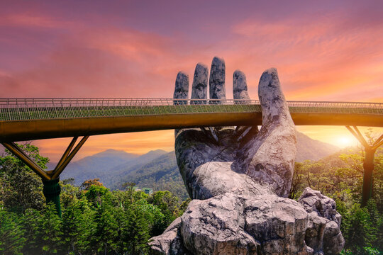 Attraction among the tropical jungle in the forests empty bridge hand early dusk sunrise hour