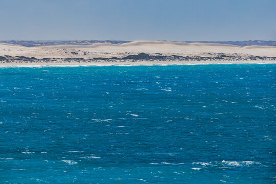Southern Right Whales at Head of Bight, Nullarbor, Australia