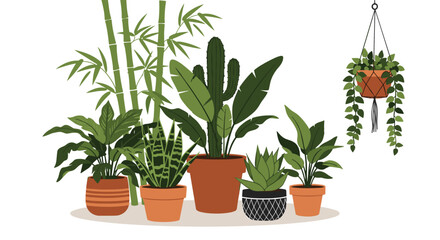 Fototapeta premium Selection of various indoor houseplants in decorative pots including cactus, snake plant, bamboo, and hanging ivy.