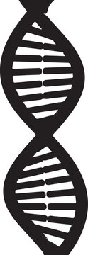 Illustration of a dna double helix structure in black and white Vector, illustration