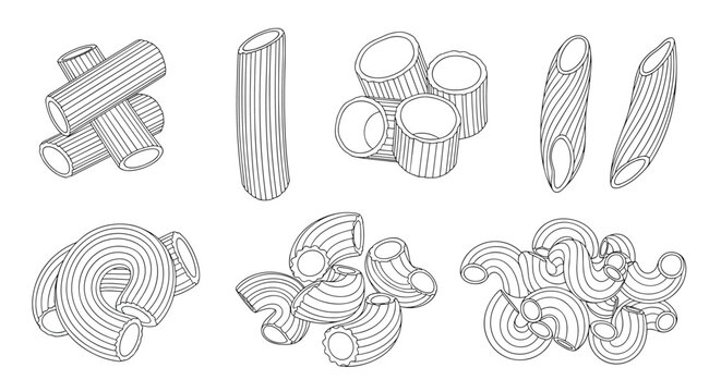 Detailed hand drawn sketches of different dry pasta shapes like penne and macaroni focusing on fine line patterns and textures.
