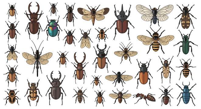 Detailed scientific illustration showing a large variety of insects including beetles, bees, moths, and an ant on a white background.
