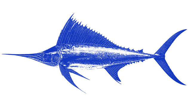 Blue Swordfish Silhouette Stamp - Powerful Marine Hunter Graphic
