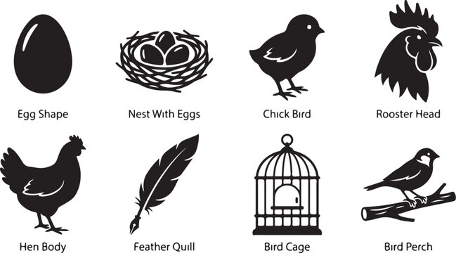 Black vector bird icons, chicken and egg illustrations, birdcage and feather graphics