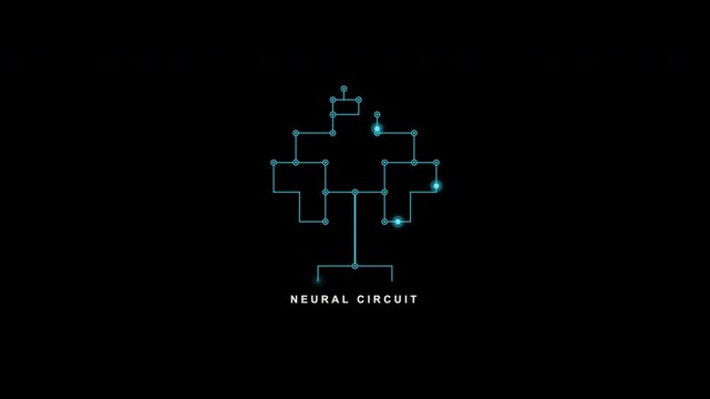 Digital neural circuit diagram for scientific presentations, educational materials, neuroscience research publications, brain science articles, and medical presentations.