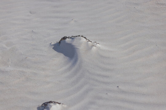 Sand Patterns and Seaweed at Scott Bay, Australia