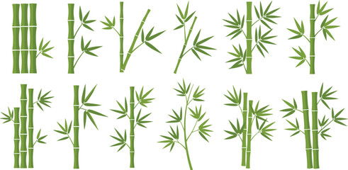 Green bamboo stalks and leaves vector collection set for spa wellness organic products and oriental nature themed graphic designs. © Ratna
