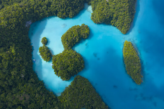 A scenic site named the Milky Way, due to its milky-colored water, is found in Palau's Rock Islands. This island-nation is a popular destination for divers, snorkelers, and kayakers.. 