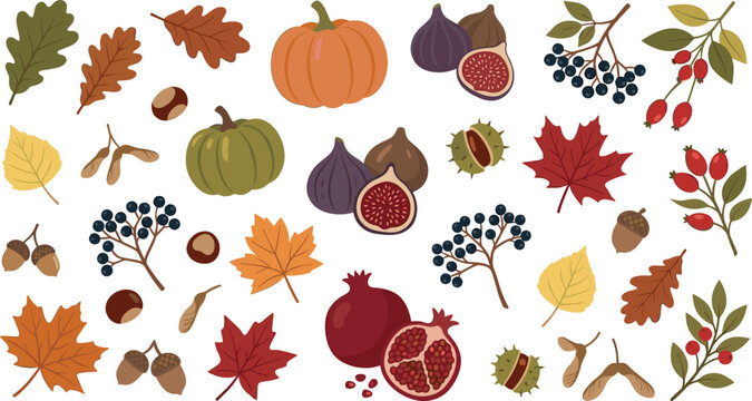 Harvest season bounty fruits leaves acorns pumpkins and figs