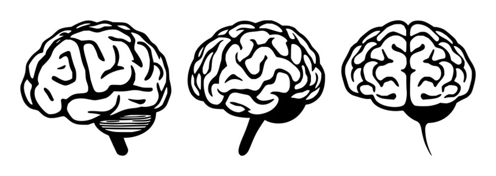 Brain icon set with solid black line art on white background featuring learning, education, and knowledge elements with icons and symbols